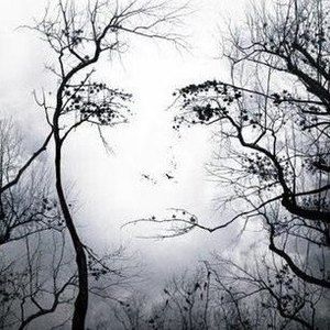 Meet your Posher, Evee